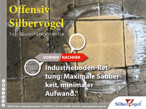 offensiv-silbervogel